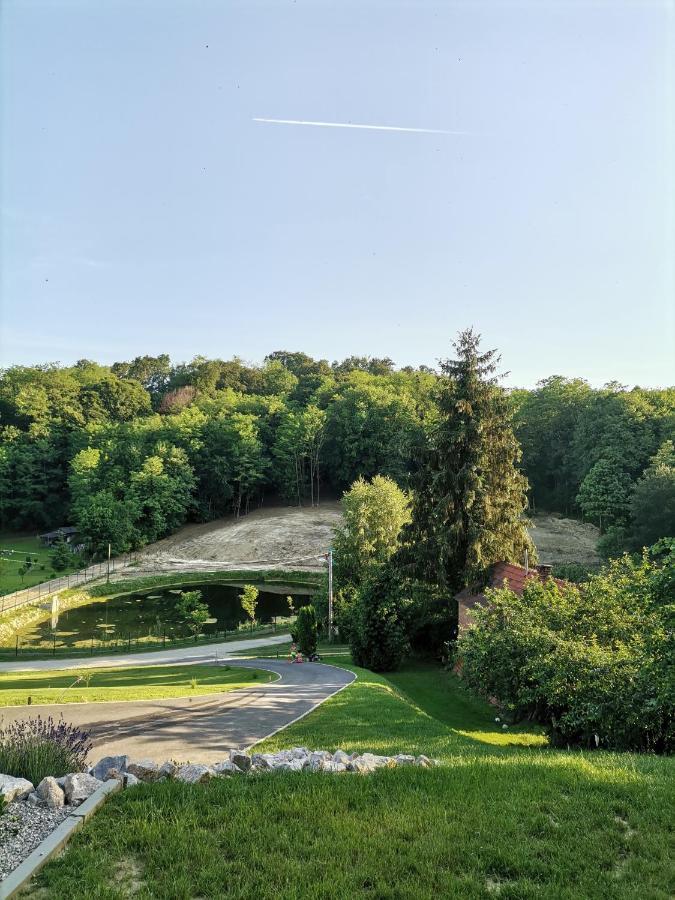 Villa Magnolia Свети Мартин на Мури Екстериор снимка