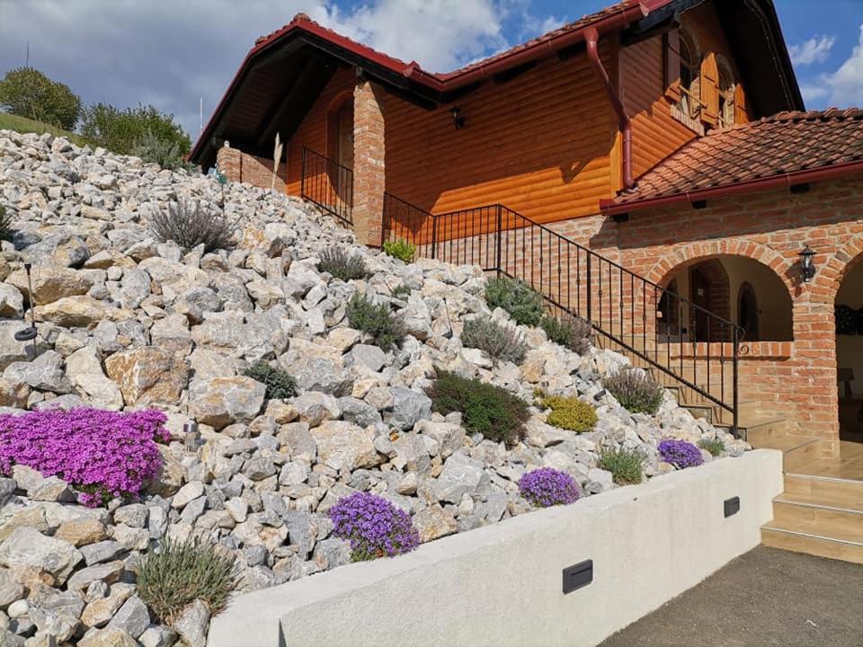 Villa Magnolia Свети Мартин на Мури Екстериор снимка